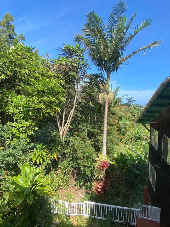 Foto del edificio - 1620 Kaupakalua Rd