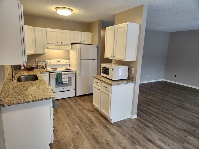 Fully renovated kitchen - 1351 Idaho Ave S