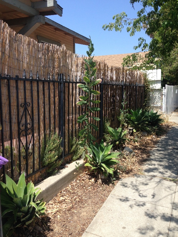 Foto del edificio - 1804 Bellevue Ave