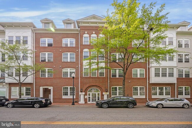 Building Photo - 171 Somervelle St