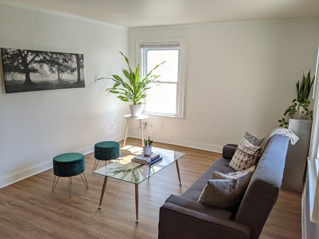 Main Living Area - 2509 Pleasant Ave