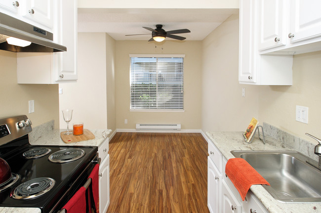 Modern Kitchen Interiors - Evelyn Gardens