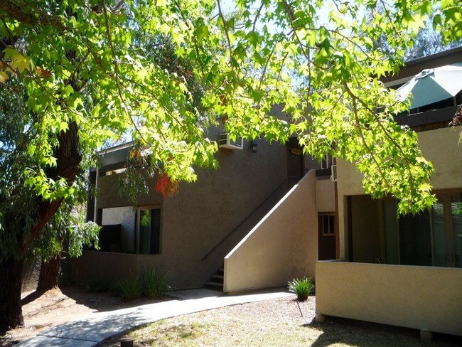 Building Photo - Spacious Condo in Gated Somerset Villas
