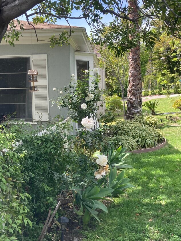 Garden - 1844 W Mountain St