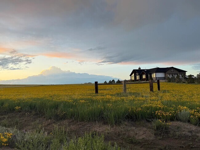 Photo - 7589 Buckskin Rnch Vw (Peyton, CO) House