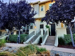 Building Photo - 207 Pender Ln