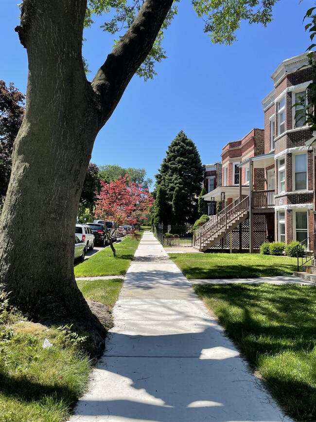 Foto del edificio - 3634 S Hamilton Ave