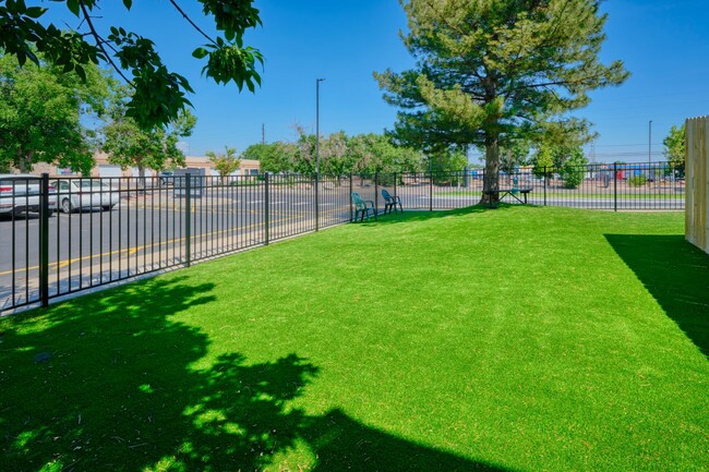 Parque para perros - Tabor Lake