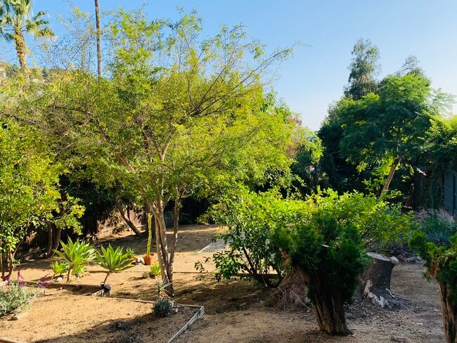 Foto del edificio - 8828 Evanview Dr