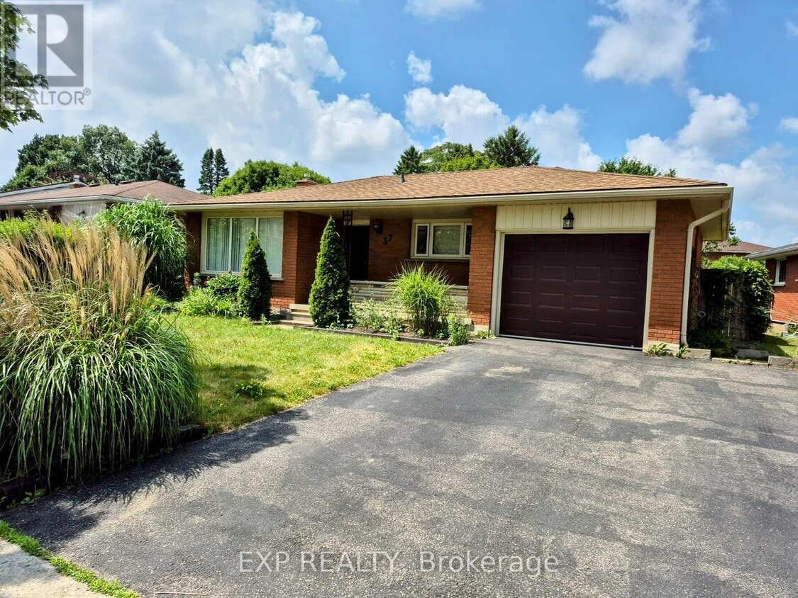 Primary Photo - 37 Montcalm Dr