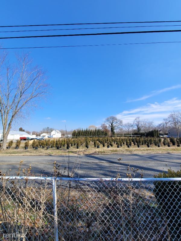 Foto del edificio - 4 br, 2 bath House - 575 Spruce St