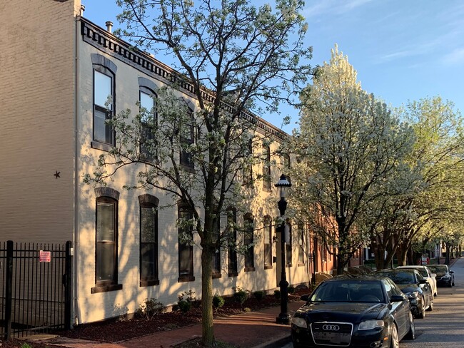 Menard Street - 1500 Menard Apartments