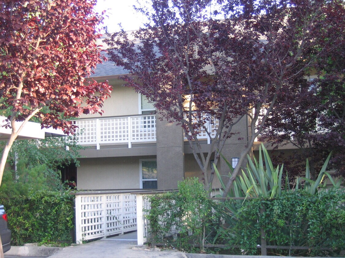 Foto principal - 705 Canonbury Way