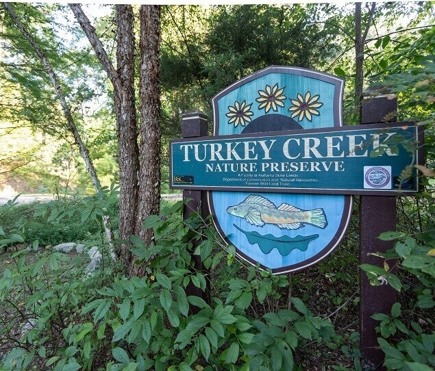 The beautiful Turkey Creek Nature Preserve covers 466 acres