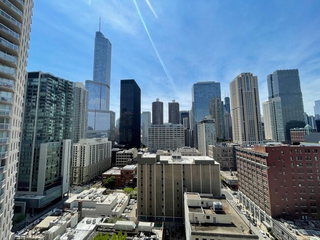 Building Photo - 545 N Dearborn St