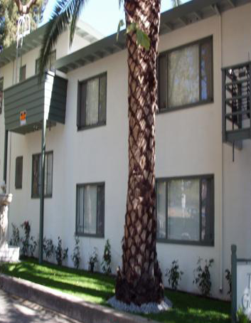 Building Photo - Dominic Garden Apartments
