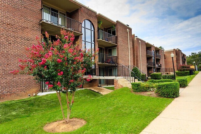 Interior Photo - Strathmore House Apartments