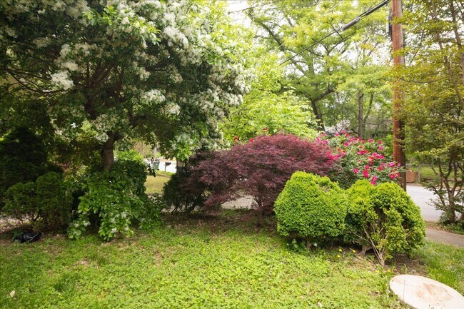 Building Photo - Very Spacious 4bd/2ba w/ Large Fenced-In B...