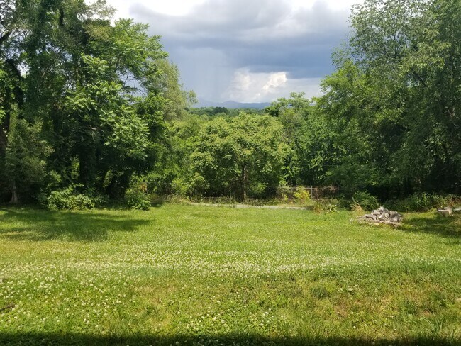 Back yard - 1424 Archbold Ave NE