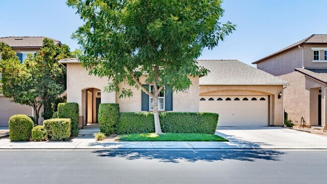Building Photo - Updated European Grove Home in NW Fresno