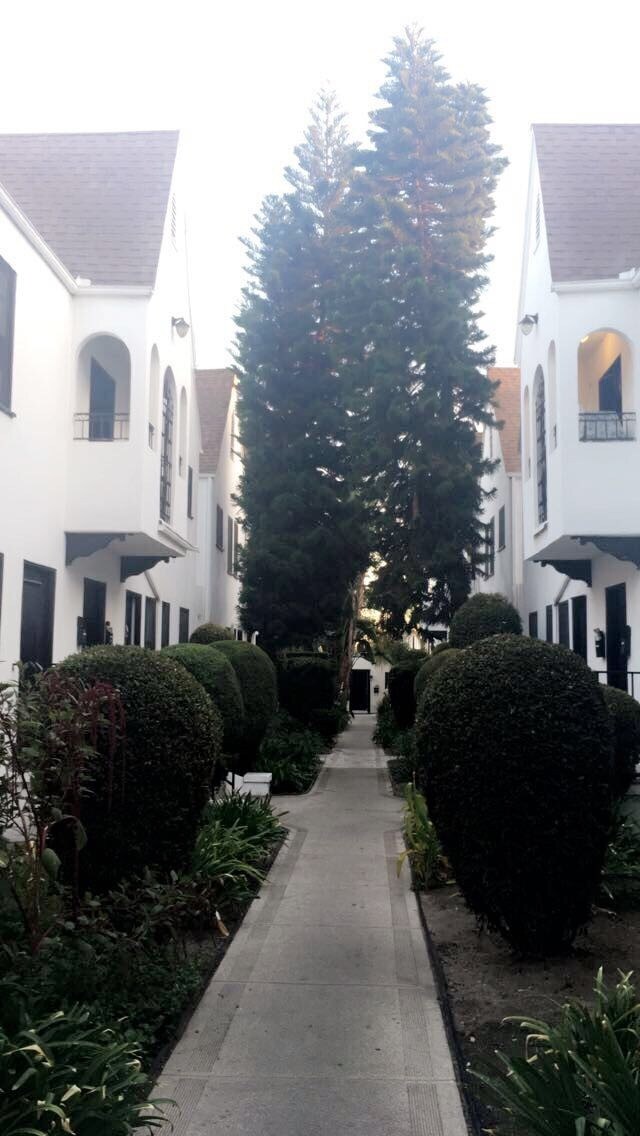 Foto del edificio - 1118 E Lexington Dr