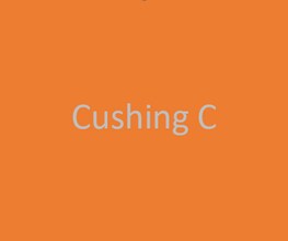 Building Photo - 3631 Cushing Dr