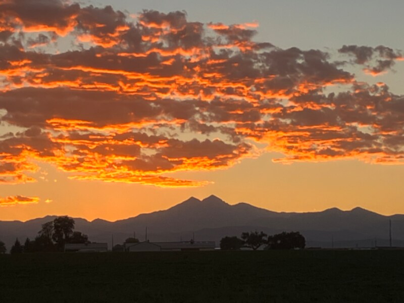 16061 Ginger Ave, Mead, CO 80542 House Rental in Mead, CO