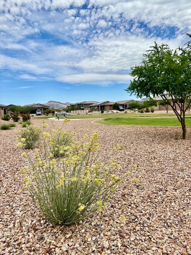 Building Photo - New Star Valley Home