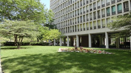 patio - 1450 E 55th Pl