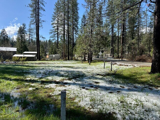 Foto del edificio - Wooded 2 bedroom cabin in nice neighborhood