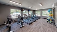 Located in Lakewood, Washington, this fitness center offers a well-appointed, single-floor exercise space designed to support a full range of workout routines. The room is immediately distinguished by a striking geometric accent wall rendered in teal, yellow, black, and white — adding a vibrant, energetic atmosphere that sets the tone for the entire space.

The cardio zone is generously equipped with a row of treadmills, elliptical machines, and stationary bikes, all positioned to take advantage of the large windows that line the walls. These expansive windows flood the room with natural light and provide open views of the surrounding greenery, creating an airy and motivating workout environment. Wall-mounted televisions are positioned throughout for entertainment during cardio sessions.

A dedicated functional fitness area holds a well-stocked equipment rack featuring medicine balls, resistance bands, exercise mats, and stability balls, offering ample resources for strength training and flexibility work. The flooring throughout consists of durable, textured carpet tile suited for high-traffic athletic use.

Overhead linear lighting ensures the space remains consistently bright at all hours. The layout is thoughtfully organized to allow comfortable movement between stations, and fitness center rules are posted near the entrance for easy reference. This facility delivers a clean, modern, and comprehensive workout experience.
