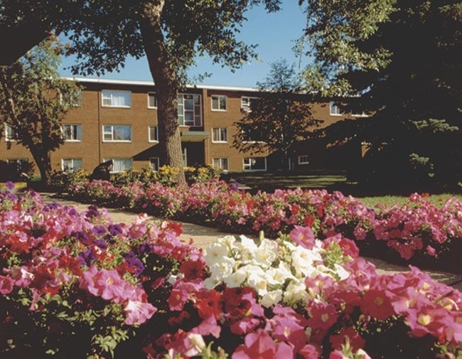Building Photo - Baywood Park