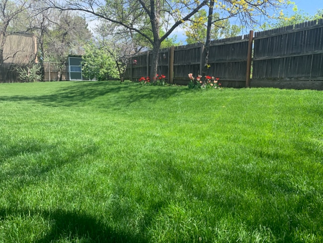 Photo - 13542 Hazel Pl House