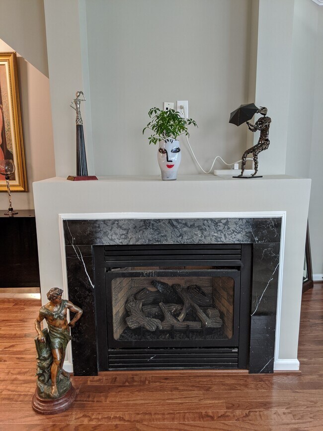 Chimenea en la sala de estar - 316 Cross Green St