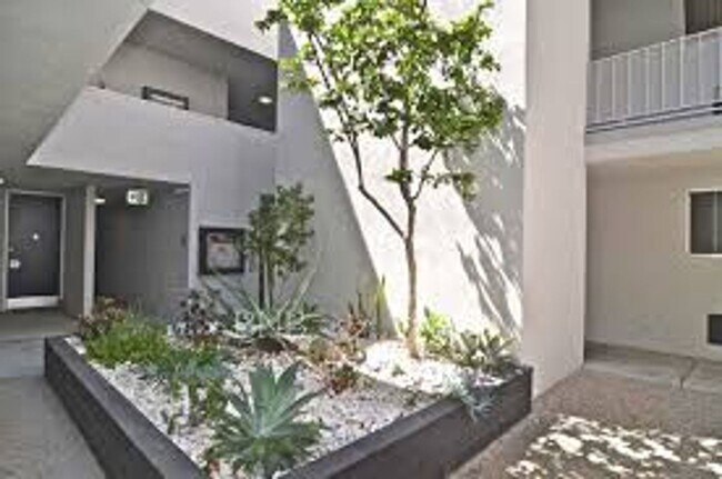 Foto del interior - ZVI Coast