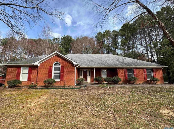 Building Photo - 109 Capote Dr