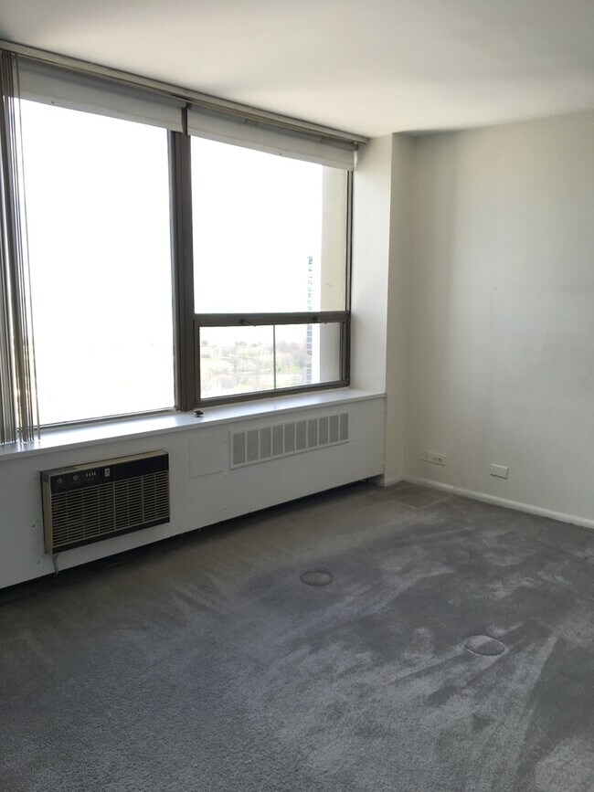 Building Photo - 1460 N Sandburg Terrace