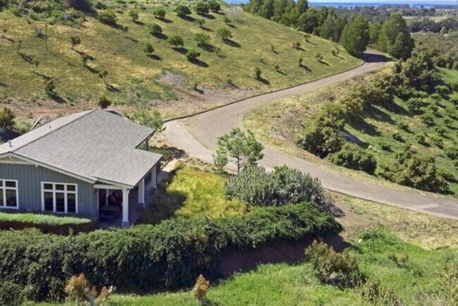 Foto del edificio - Guest House