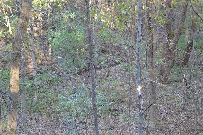 Foto del edificio - 660 Birch Tree Ct