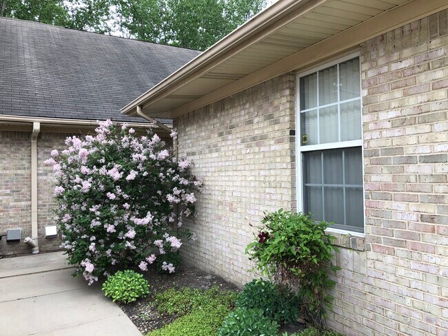 Building Photo - 5560 Seabreeze Ln