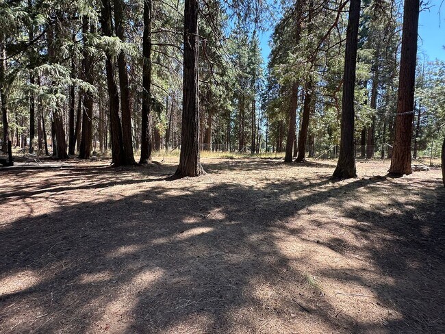 Foto del edificio - 18406 Freight Rd Ln