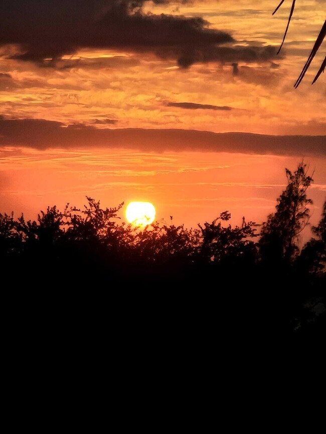 Building Photo - 8935 Puerto Del Rio Dr