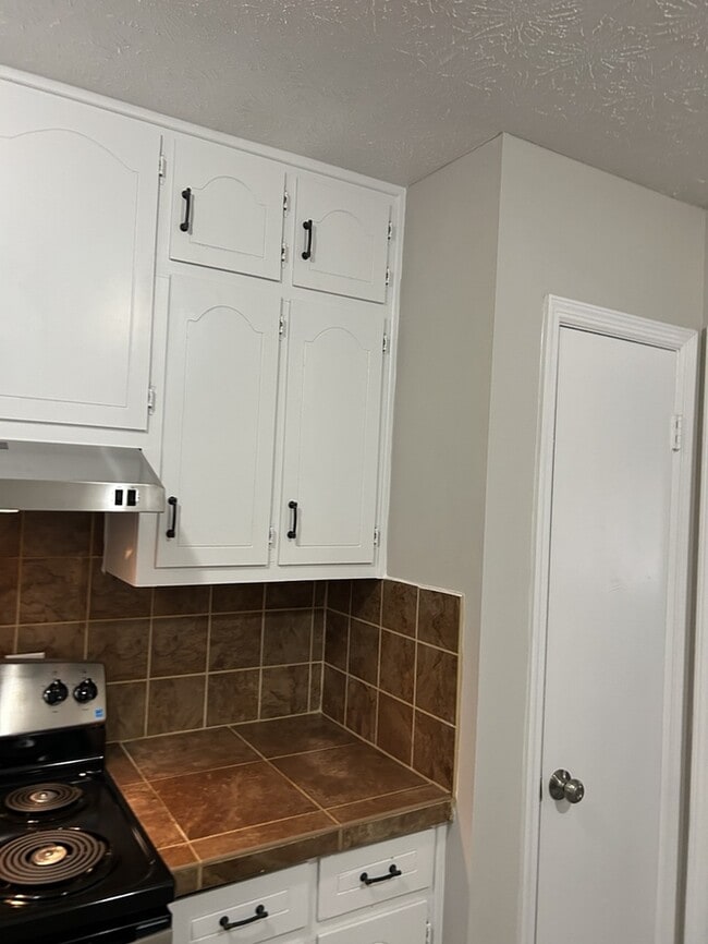 Building Photo - Beautiful 4 Beds 3 Baths Home in Decatur