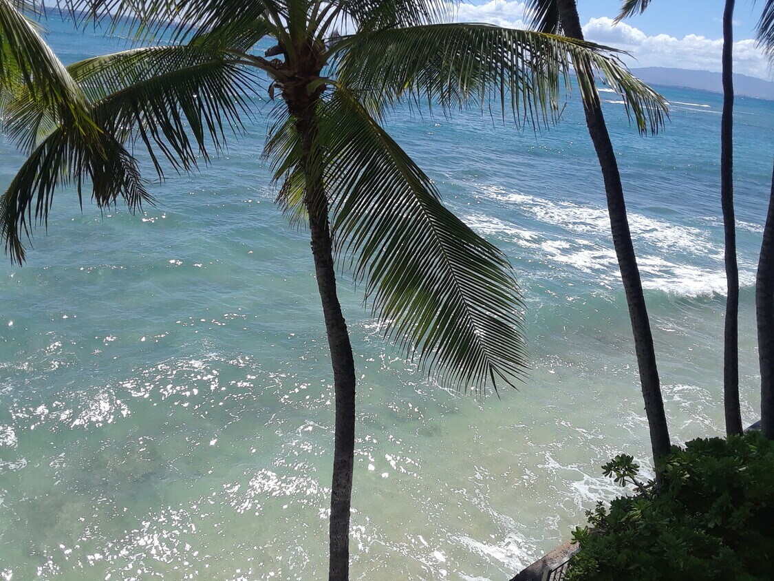 Foto principal - 3015 Kalakaua Ave
