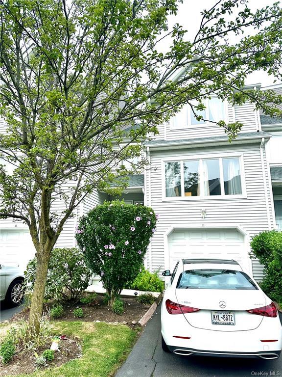 Primary Photo - 11 Cygnet Rd