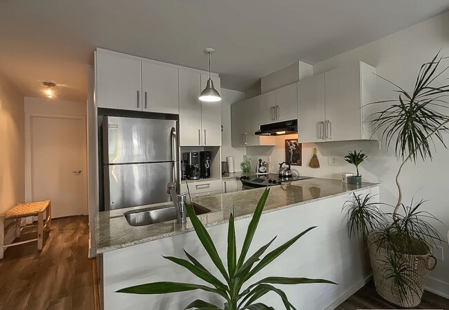 Building Photo - 9655 Rue Saint-Hubert
