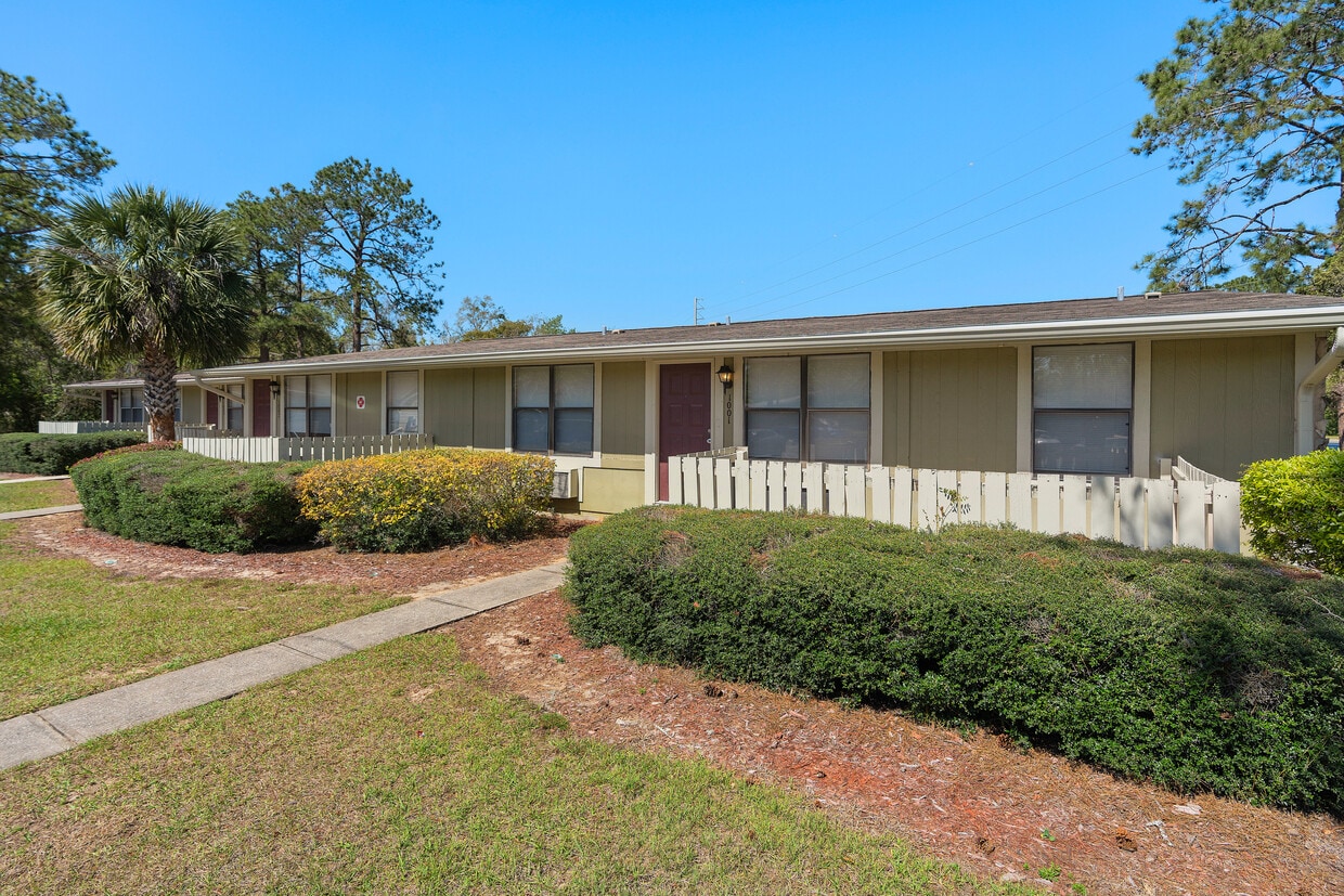 Primary Photo - Pinellas Pines
