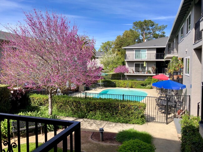 área de piscina - Merrilee Terrace Apartments