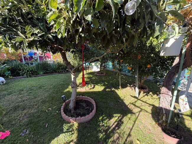 Building Photo - All-Inclusive Studio for Rent in Tarzana!