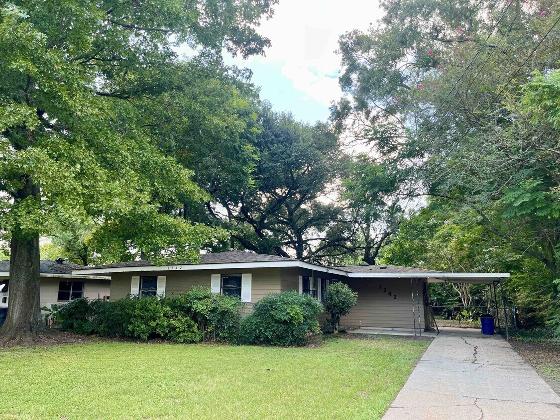 Primary Photo - 1242 Aster St